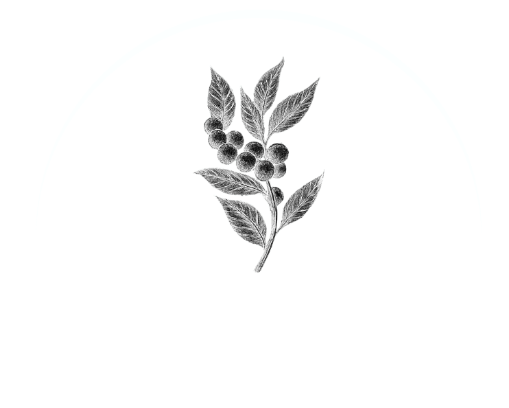 Get Rare Coffee